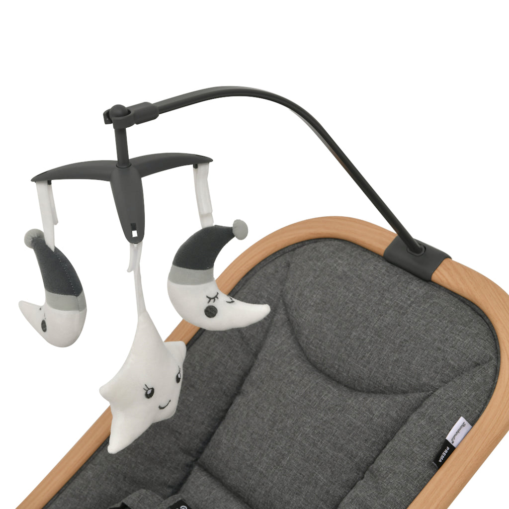 Silla Mecedora Bouncer PREMA